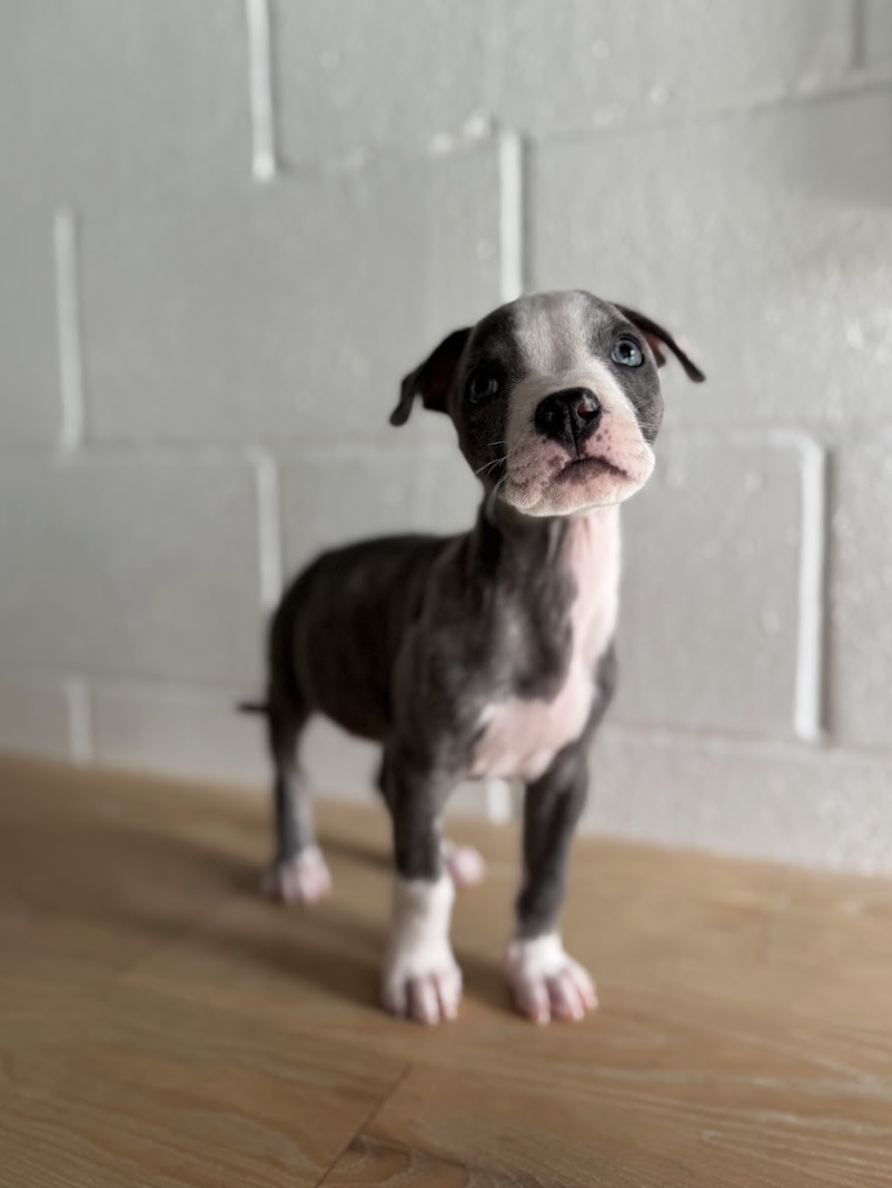 Screenshot 2026-03-14 at 1.35.41 PM.png