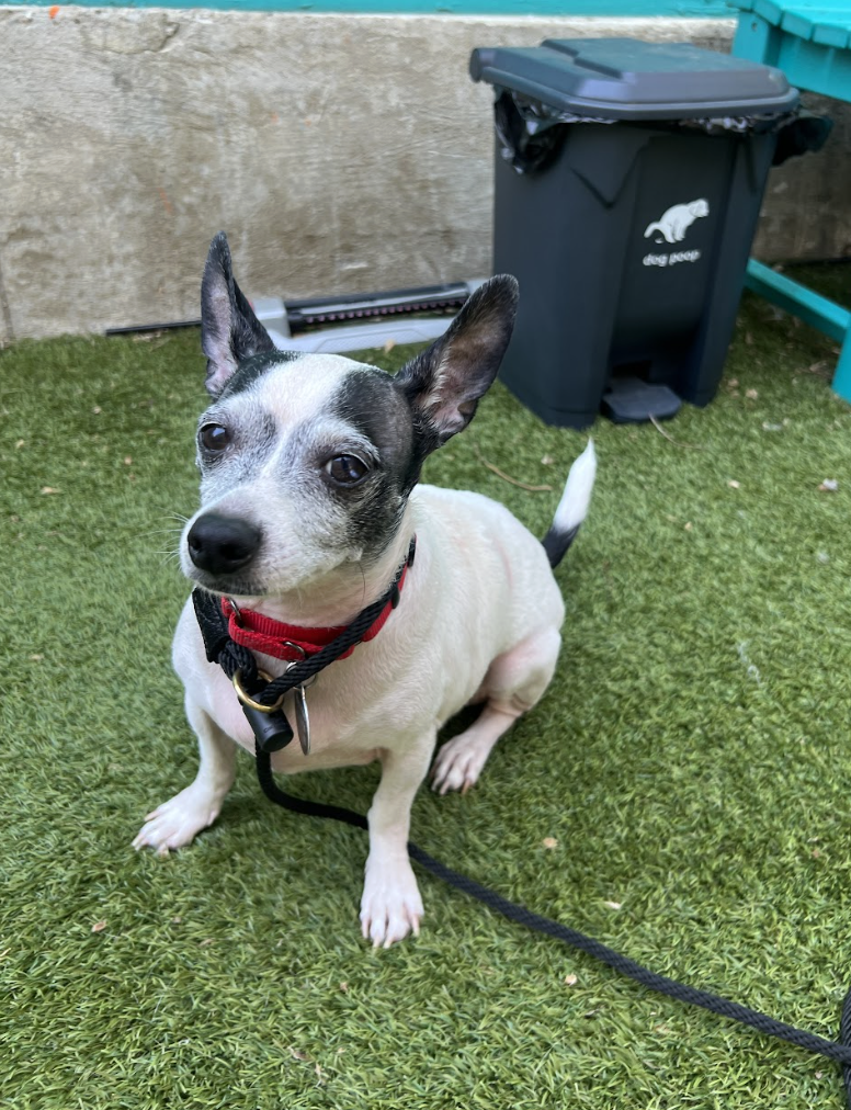 Screenshot 2026-04-10 at 2.45.29 PM.png