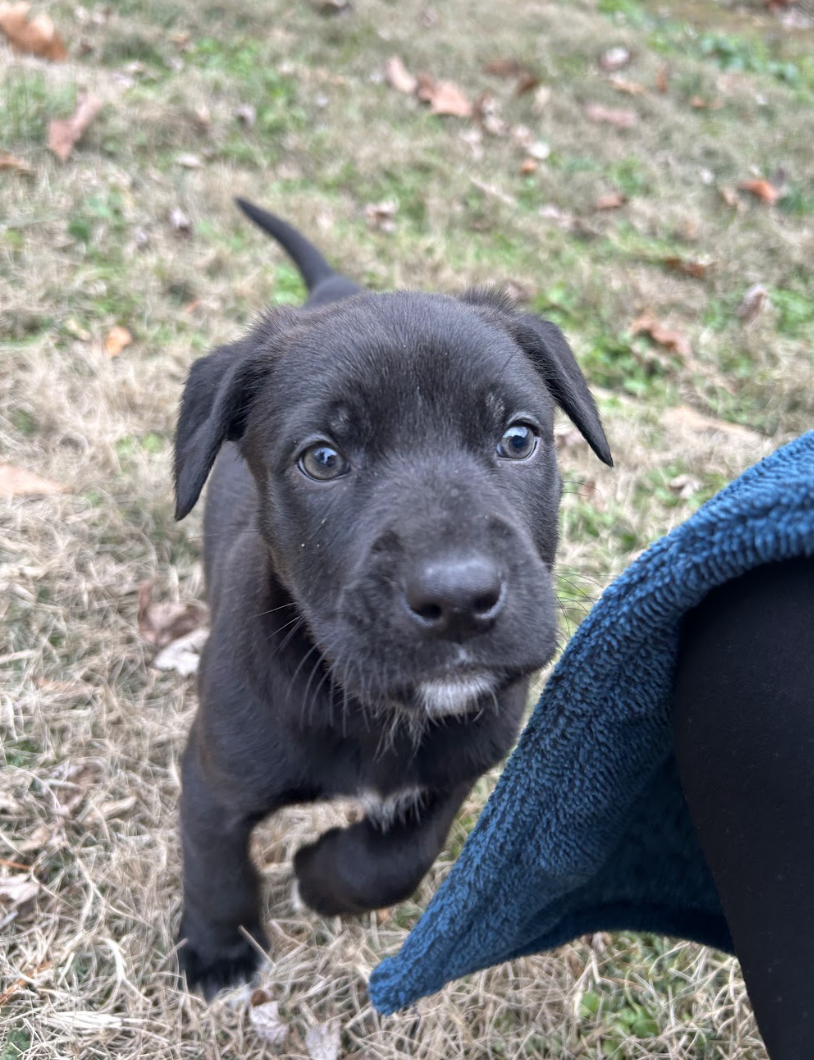 Screenshot 2025-12-18 at 1.41.33 PM.png