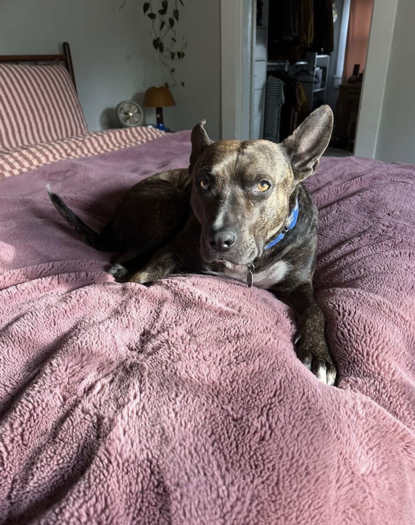 Screenshot 2026-04-22 at 4.41.28 PM.png