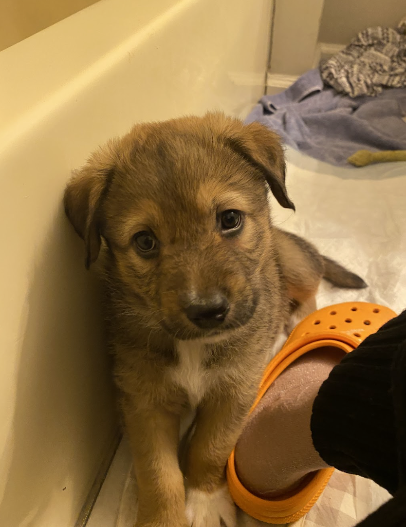 Screenshot 2026-03-05 at 6.15.22 PM.png