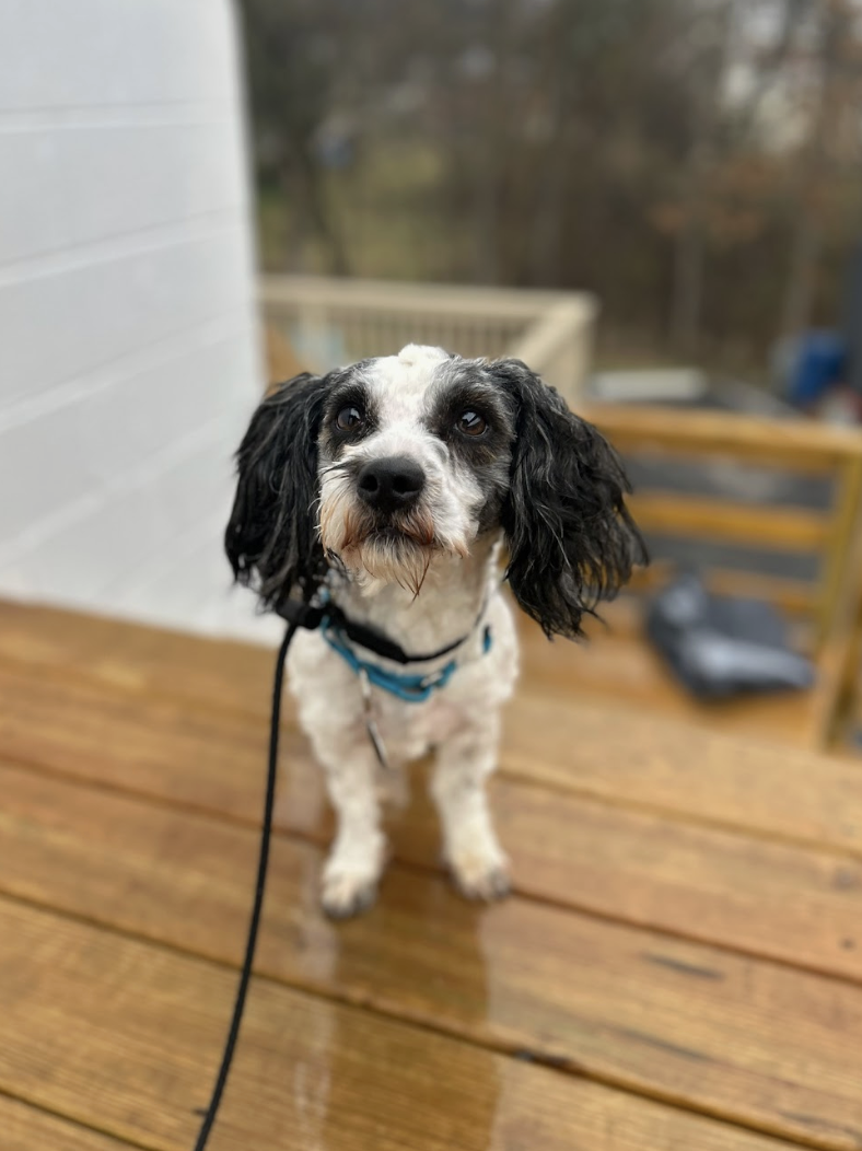 Screenshot 2026-04-01 at 6.15.15 PM.png