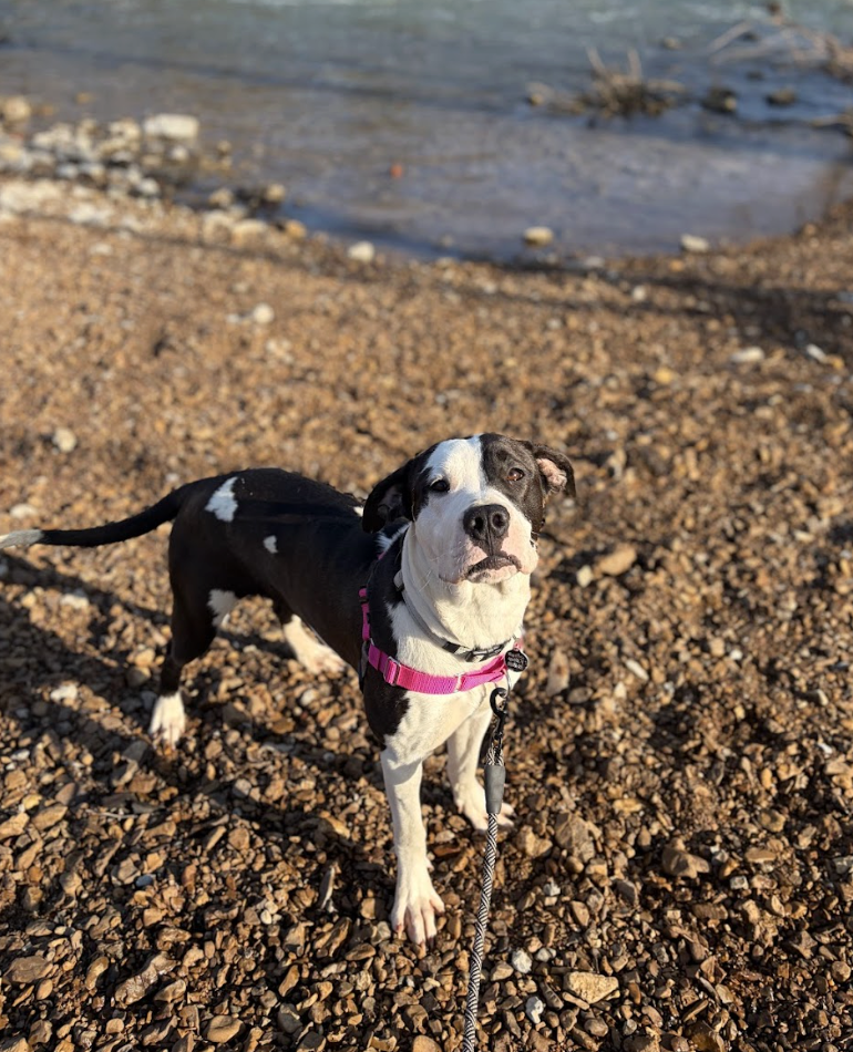 Screenshot 2026-04-21 at 5.31.02 PM.png