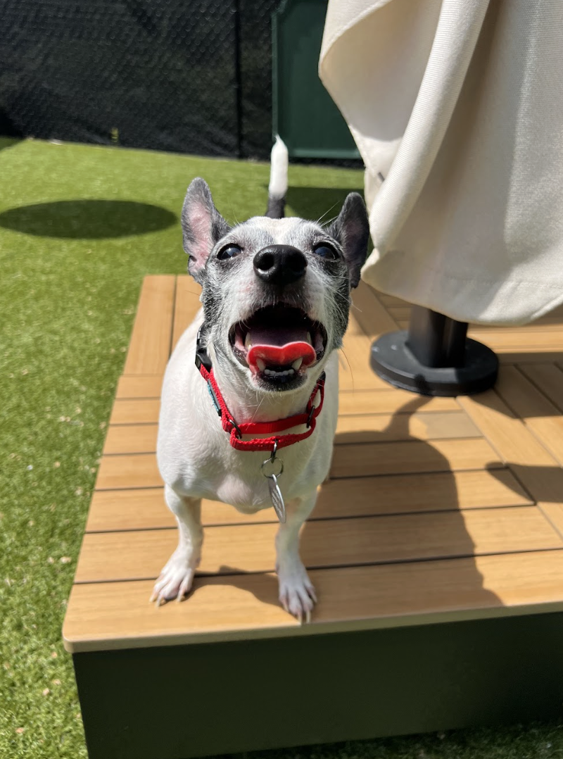 Screenshot 2026-04-09 at 6.46.05 PM.png