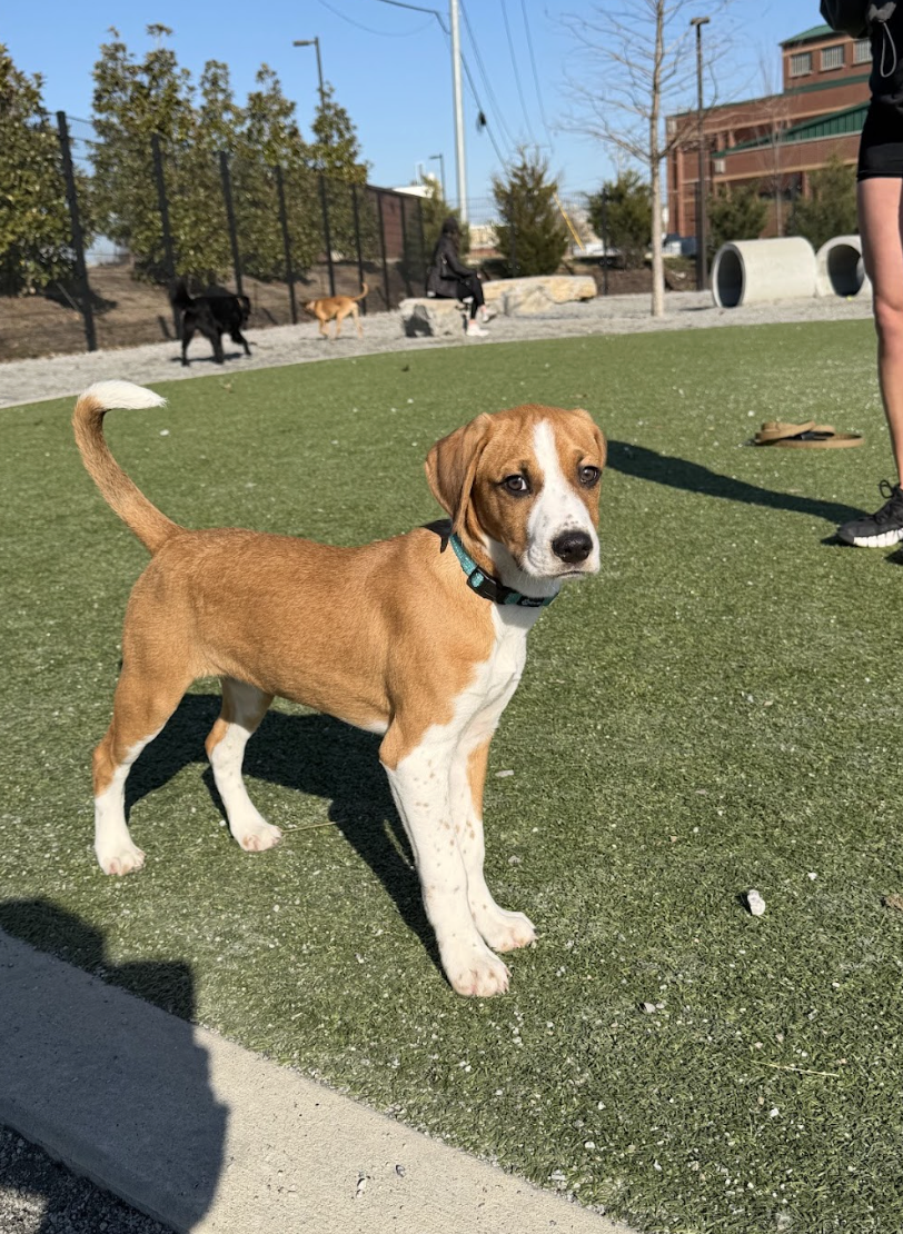 Screenshot 2026-02-13 at 1.23.36 PM.png