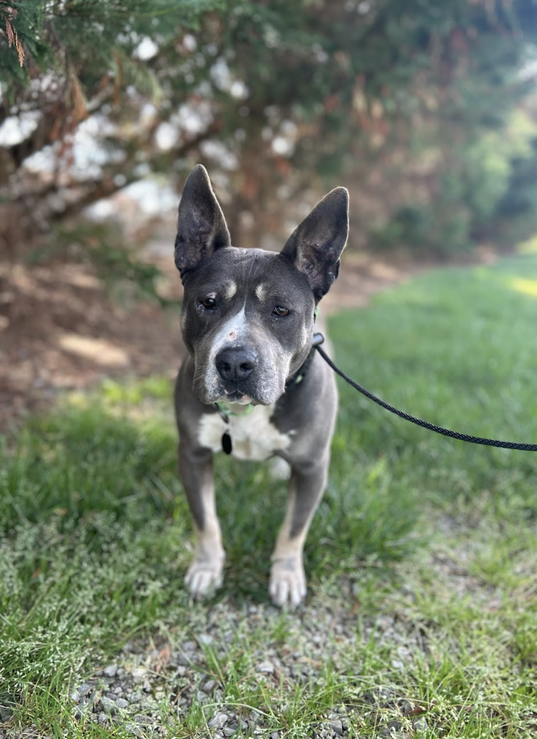 Screenshot 2026-03-26 at 2.16.01 PM.png