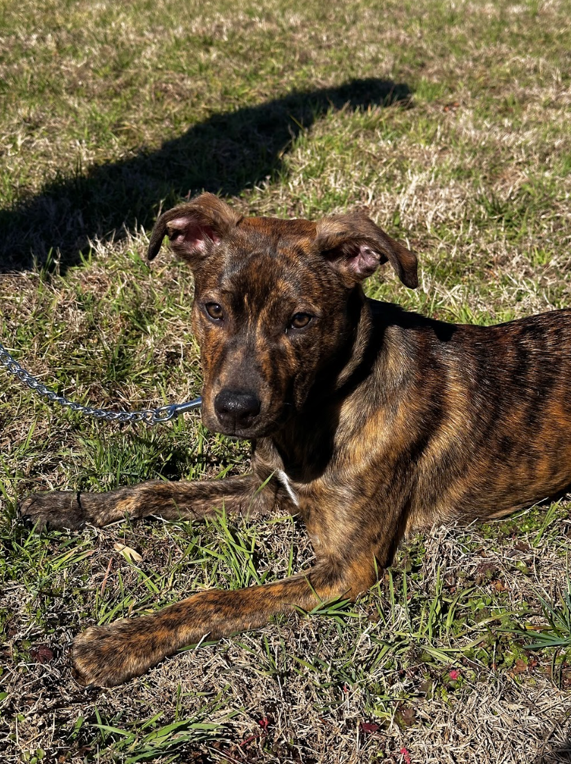 Screenshot 2026-02-20 at 8.47.58 PM.png