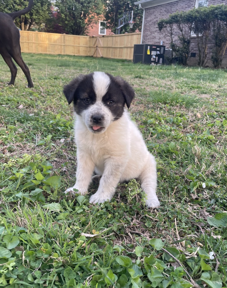 Screenshot 2026-04-13 at 2.36.28 PM.png