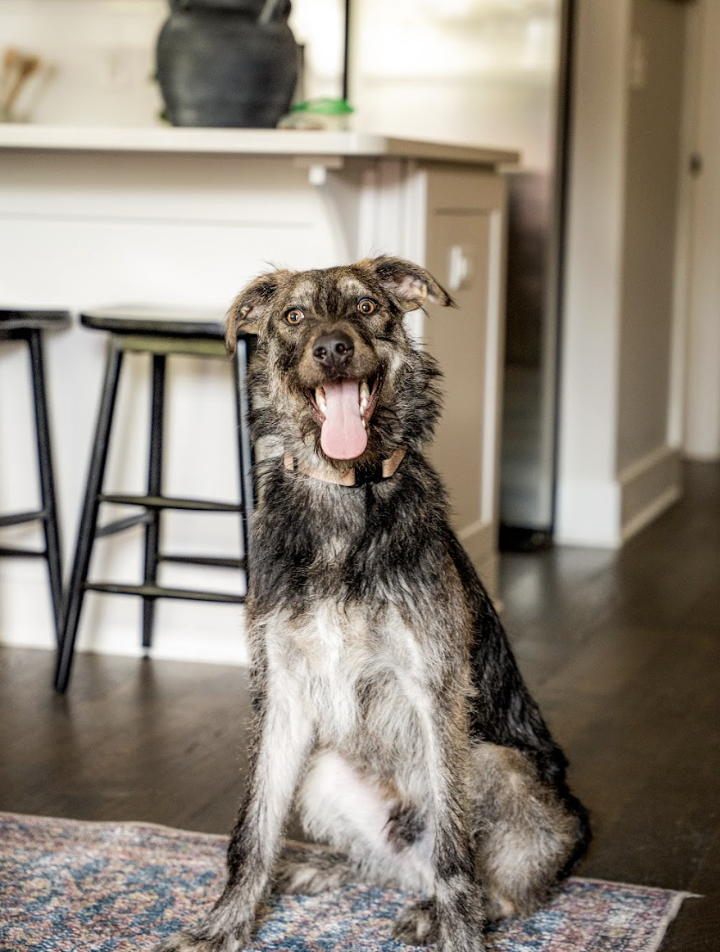 Screenshot 2026-04-22 at 4.36.08 PM.png