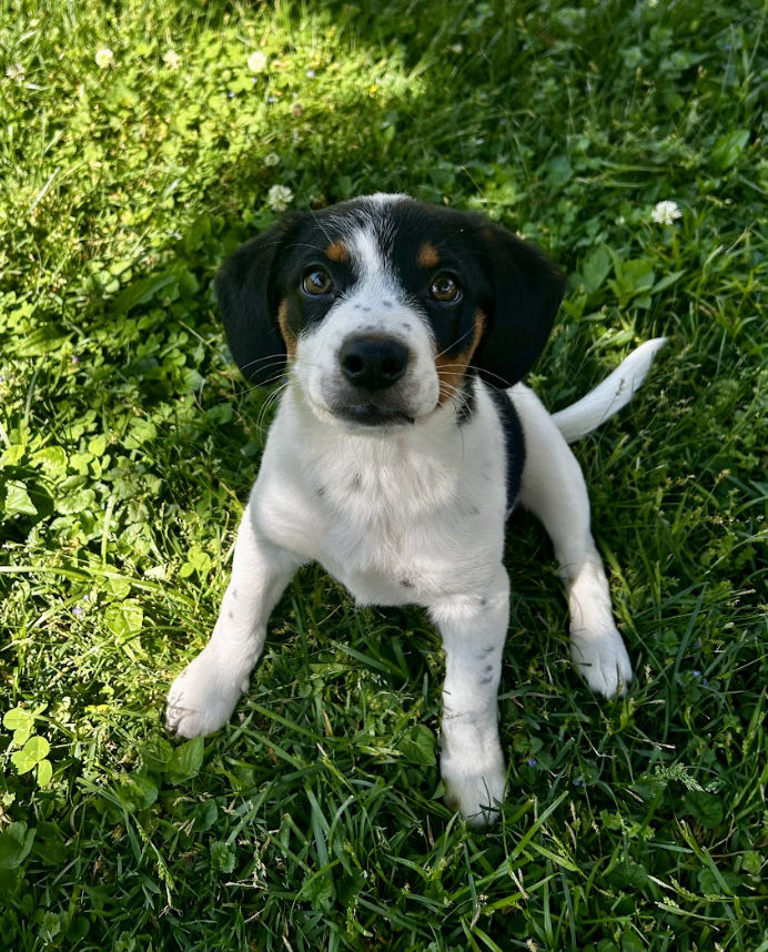 Screenshot 2026-04-23 at 7.12.32 PM.png