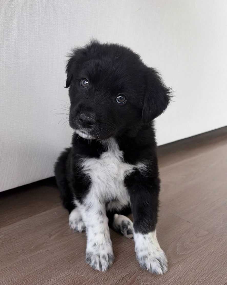 Screenshot 2026-04-13 at 2.42.07 PM.png