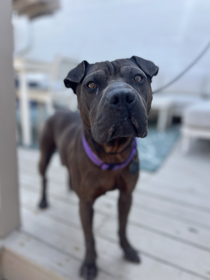 Screenshot 2026-03-26 at 3.24.20 PM.png