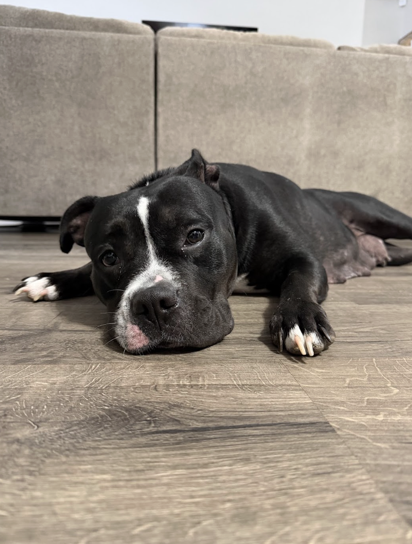 Screenshot 2026-02-26 at 2.21.59 PM.png