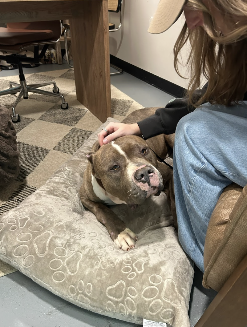 Screenshot 2026-03-11 at 6.46.59 PM.png