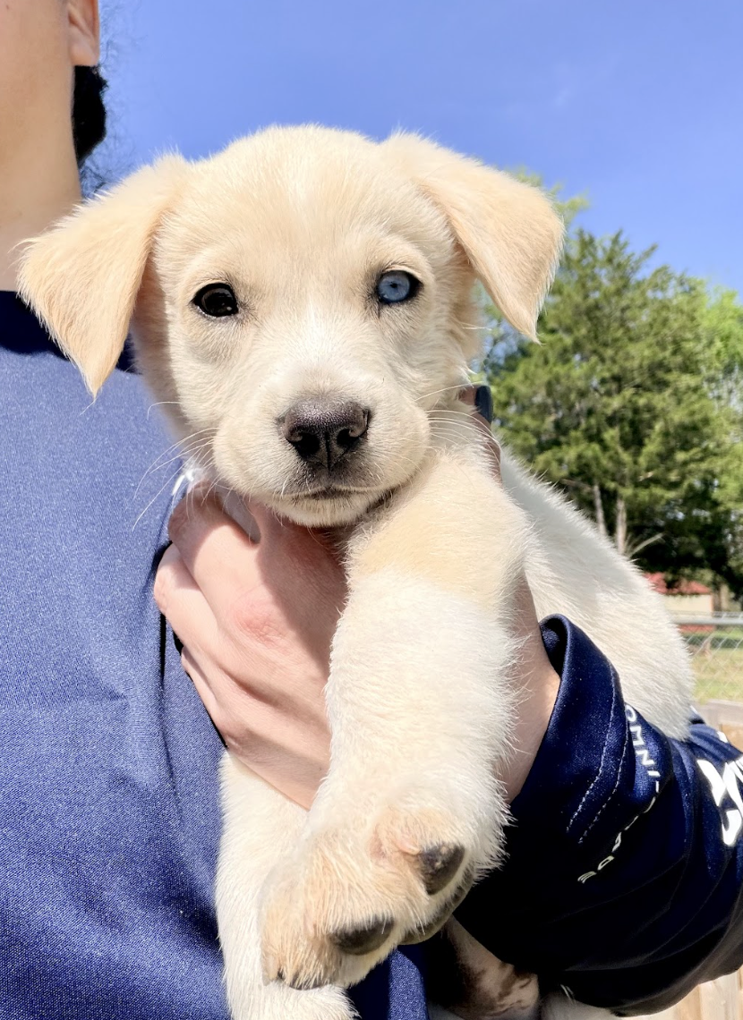 Screenshot 2026-04-16 at 4.49.11 PM.png