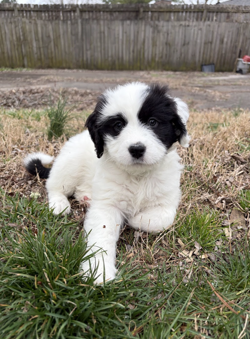 Screenshot 2026-03-10 at 9.00.24 PM.png