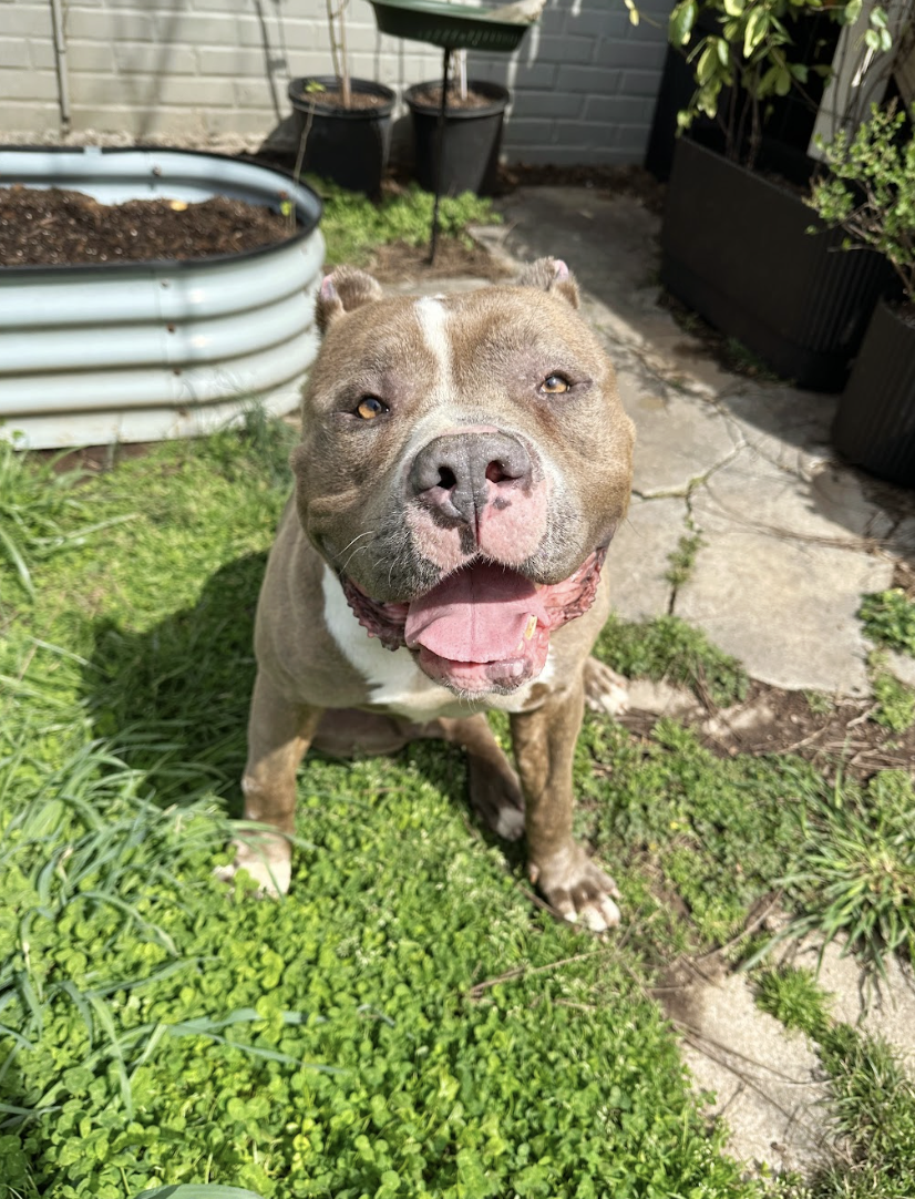 Screenshot 2026-04-15 at 12.42.52 PM.png