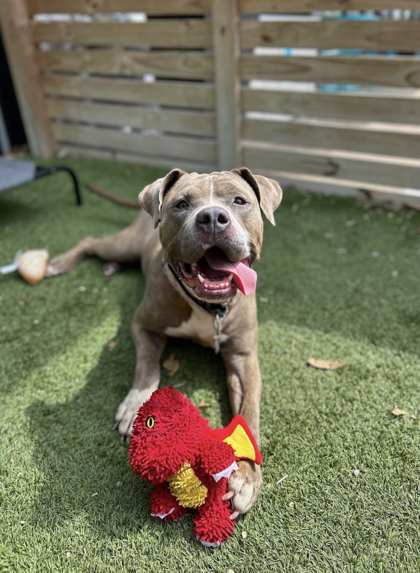 Screenshot 2026-03-26 at 2.42.21 PM.png