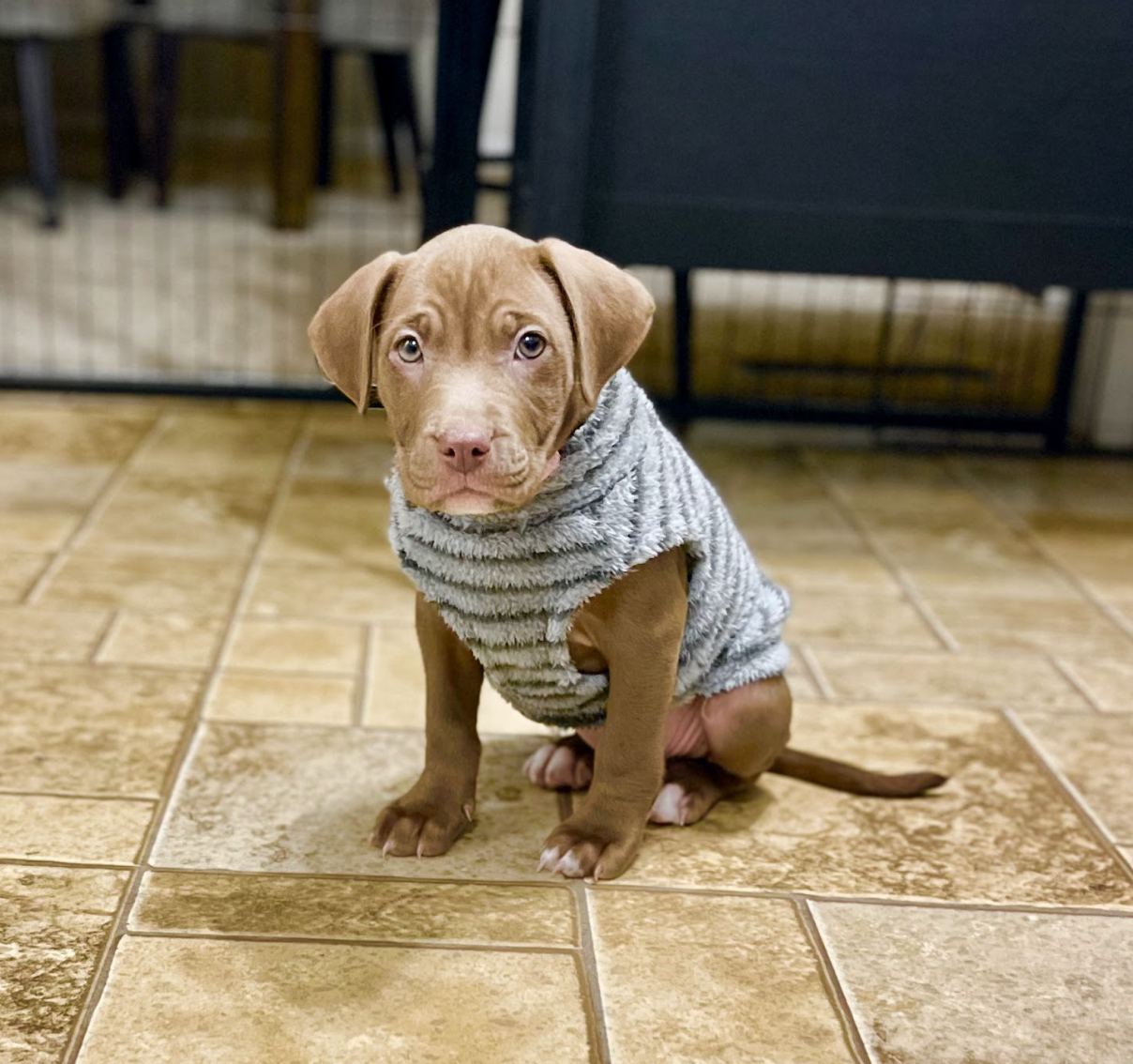 Screenshot 2025-12-31 at 1.26.51 PM.png