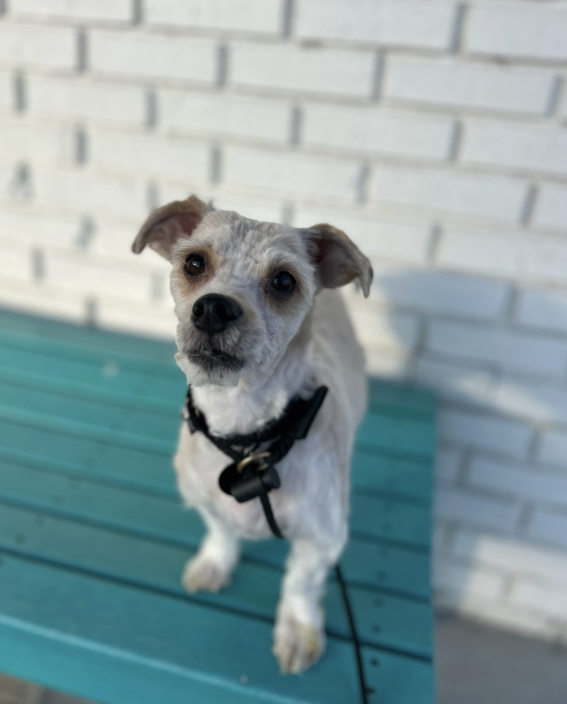 Screenshot 2026-03-14 at 4.55.35 PM.png