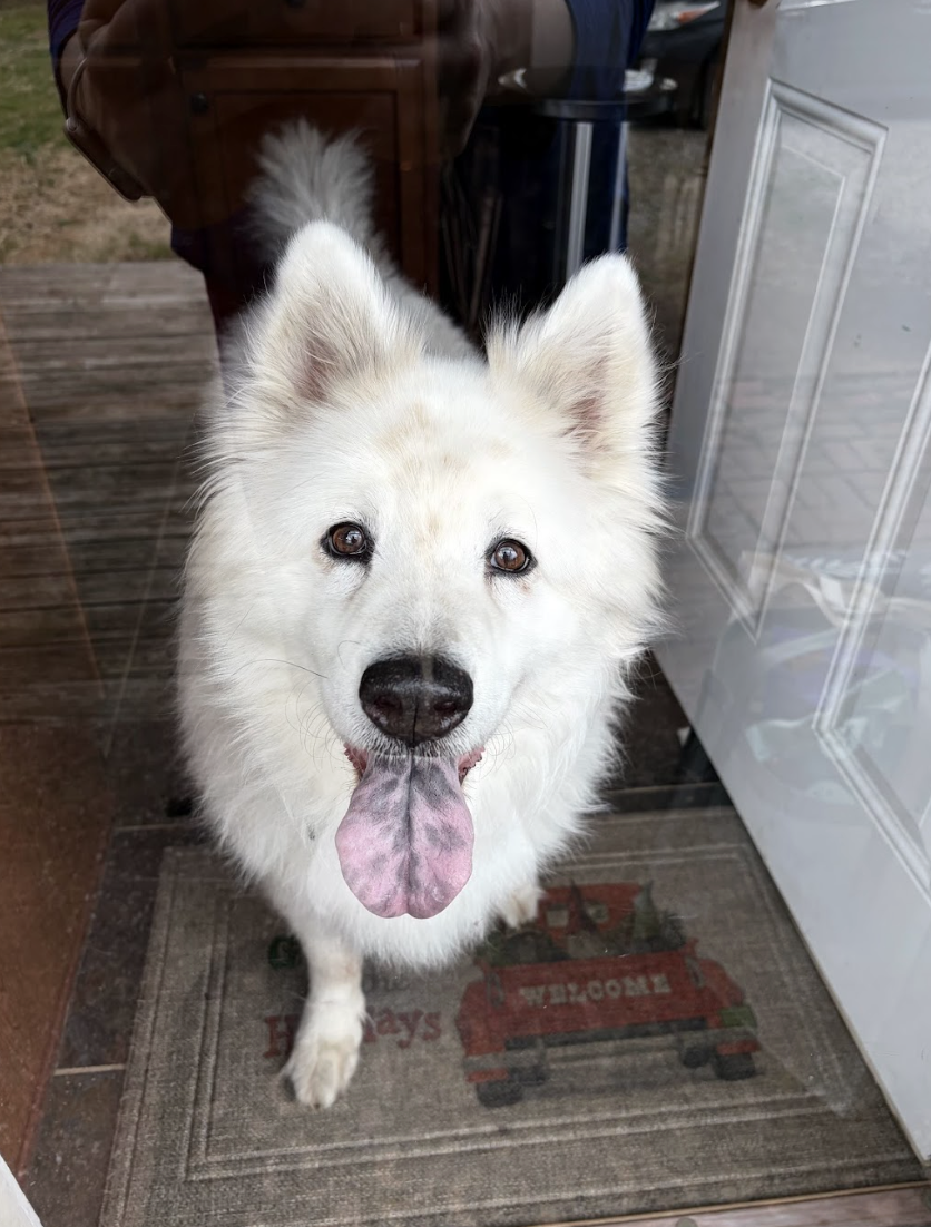 Screenshot 2026-03-24 at 12.30.46 PM.png