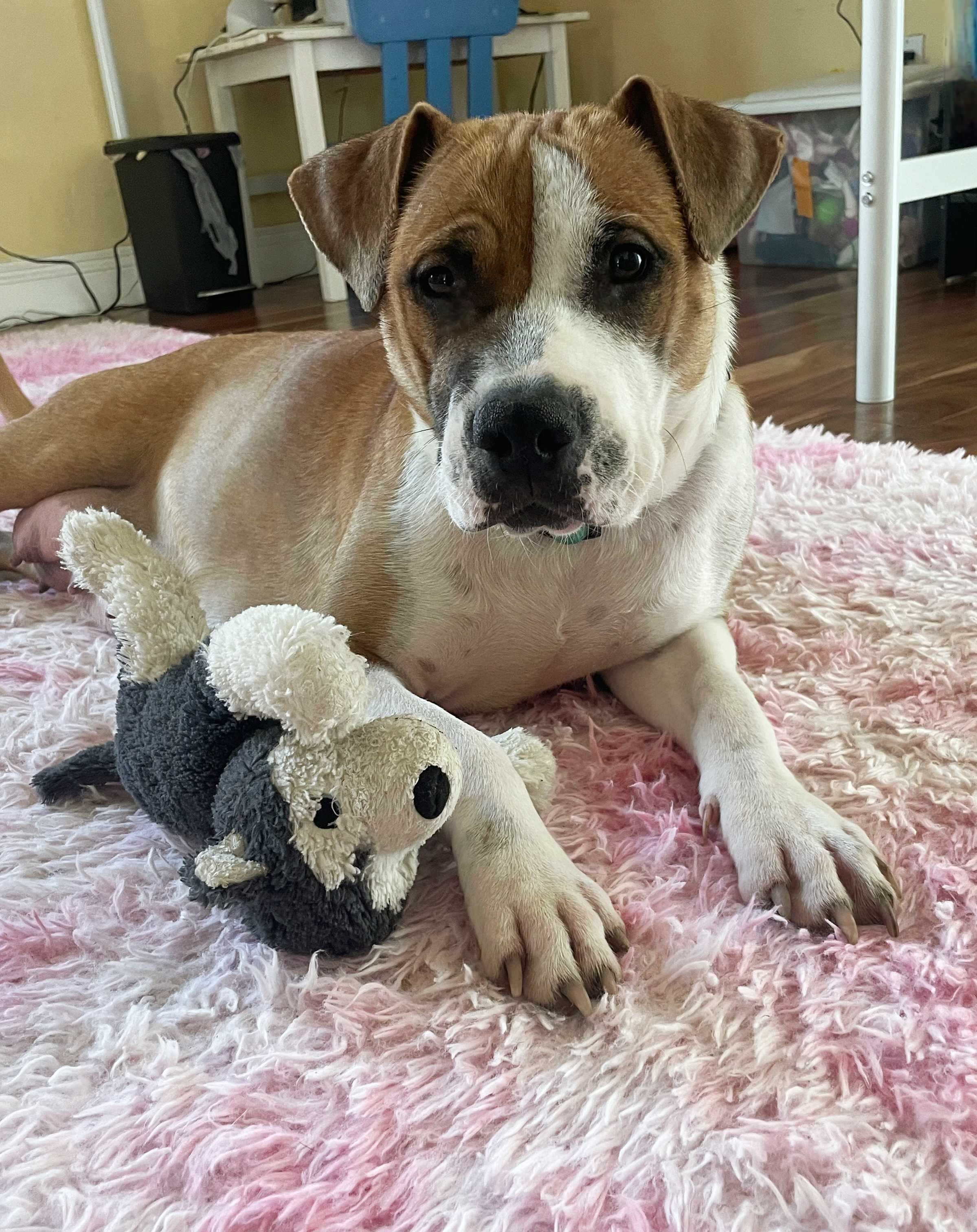 20260327_184513 (1).jpg