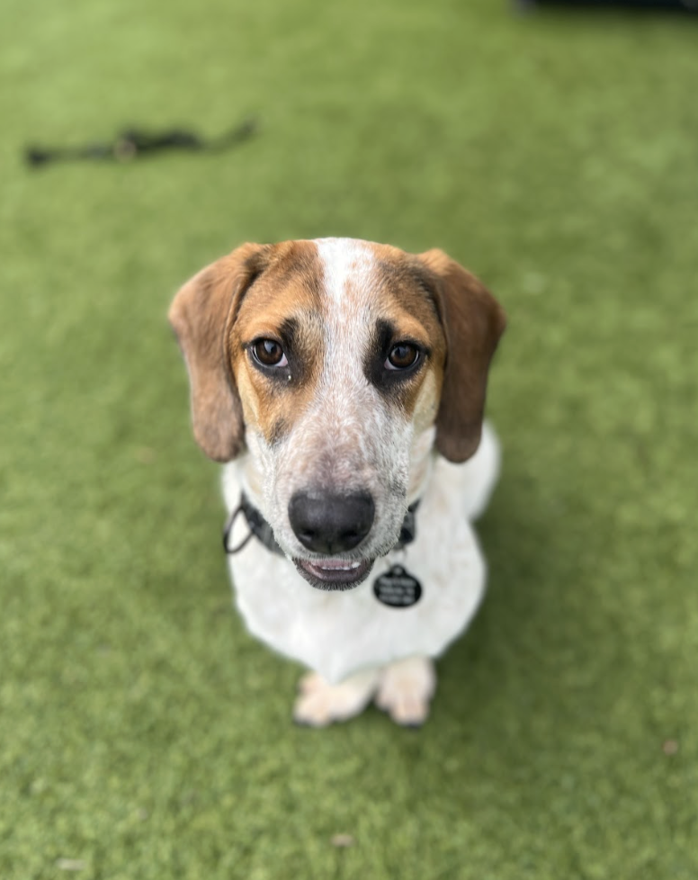 Screenshot 2026-02-05 at 2.24.56 PM.png