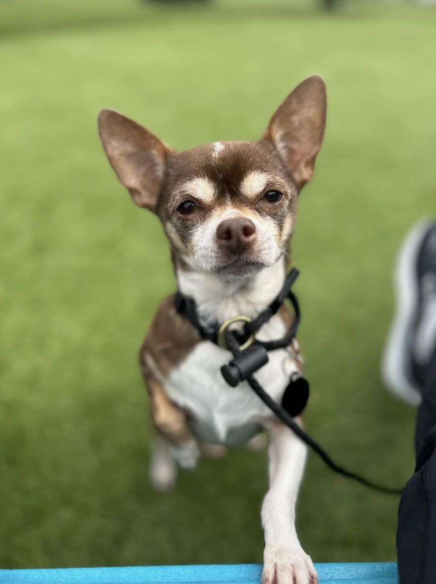 Screenshot 2026-02-05 at 1.51.08 PM.png