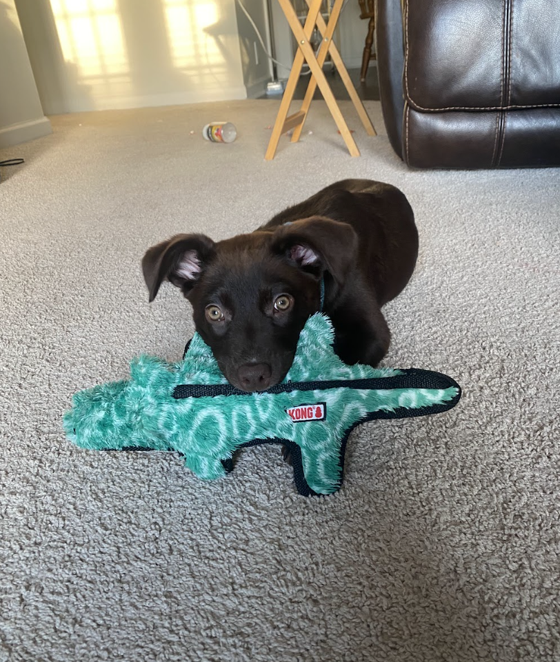 Screenshot 2026-04-03 at 1.38.34 PM.png