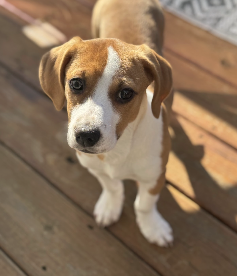 Screenshot 2026-02-13 at 1.28.45 PM.png