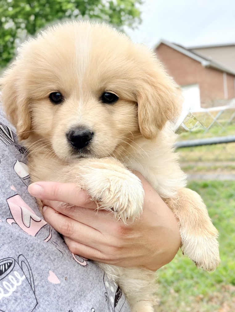 Screenshot 2026-04-16 at 4.52.17 PM.png