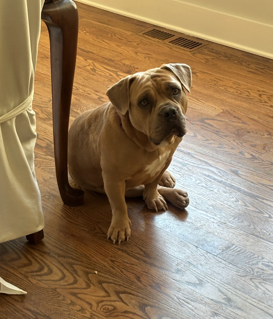 Screenshot 2026-02-16 at 6.10.23 PM.png