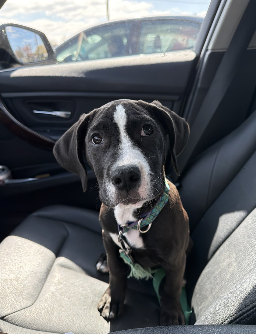 Screenshot 2026-04-03 at 1.11.57 PM.png