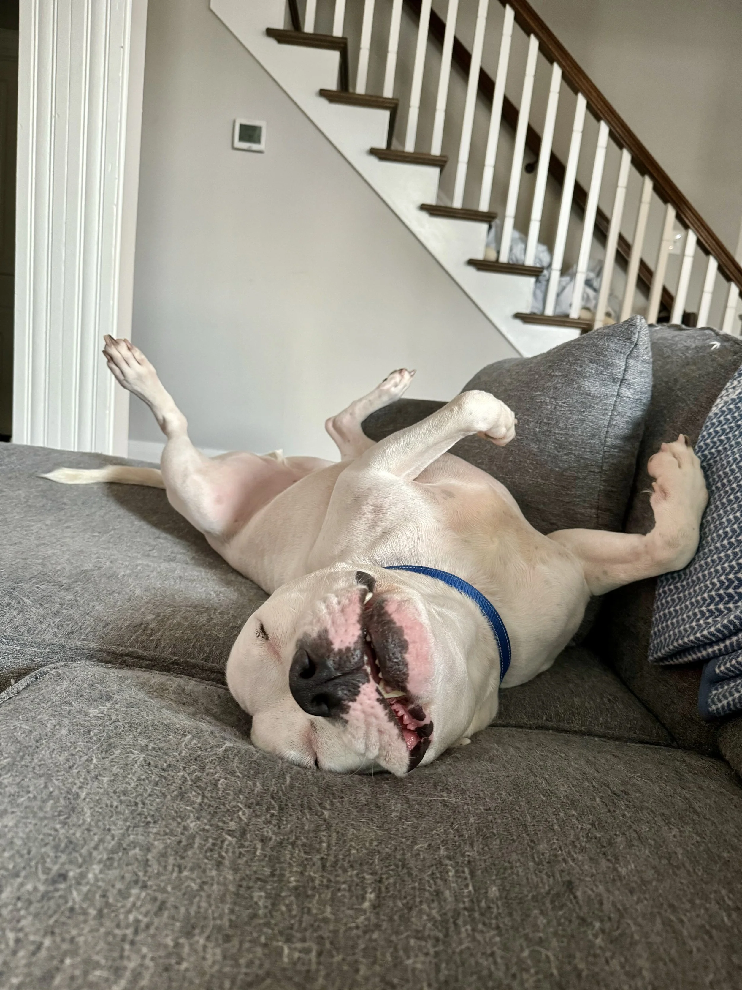 FullSizeRender (1).jpeg