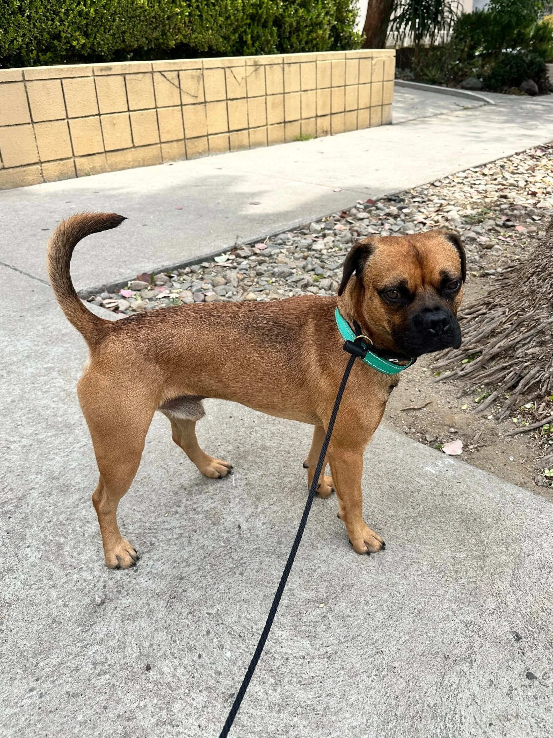 IMG_7416.jpg