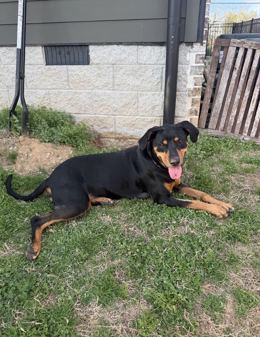 Screenshot 2026-04-22 at 4.53.56 PM.png