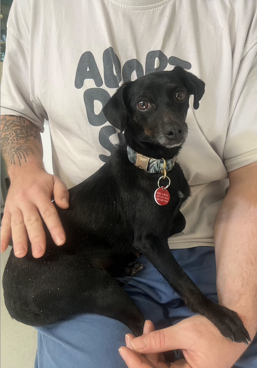 Screenshot 2026-02-26 at 7.06.20 PM.png