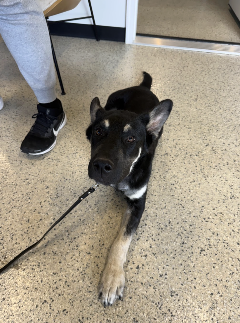 Screenshot 2026-04-22 at 2.31.12 PM.png