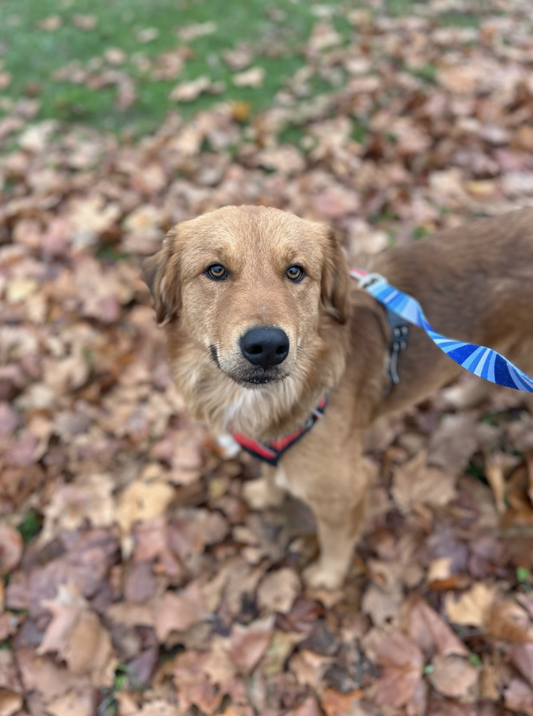 Screenshot 2025-12-04 at 3.21.14 PM.png