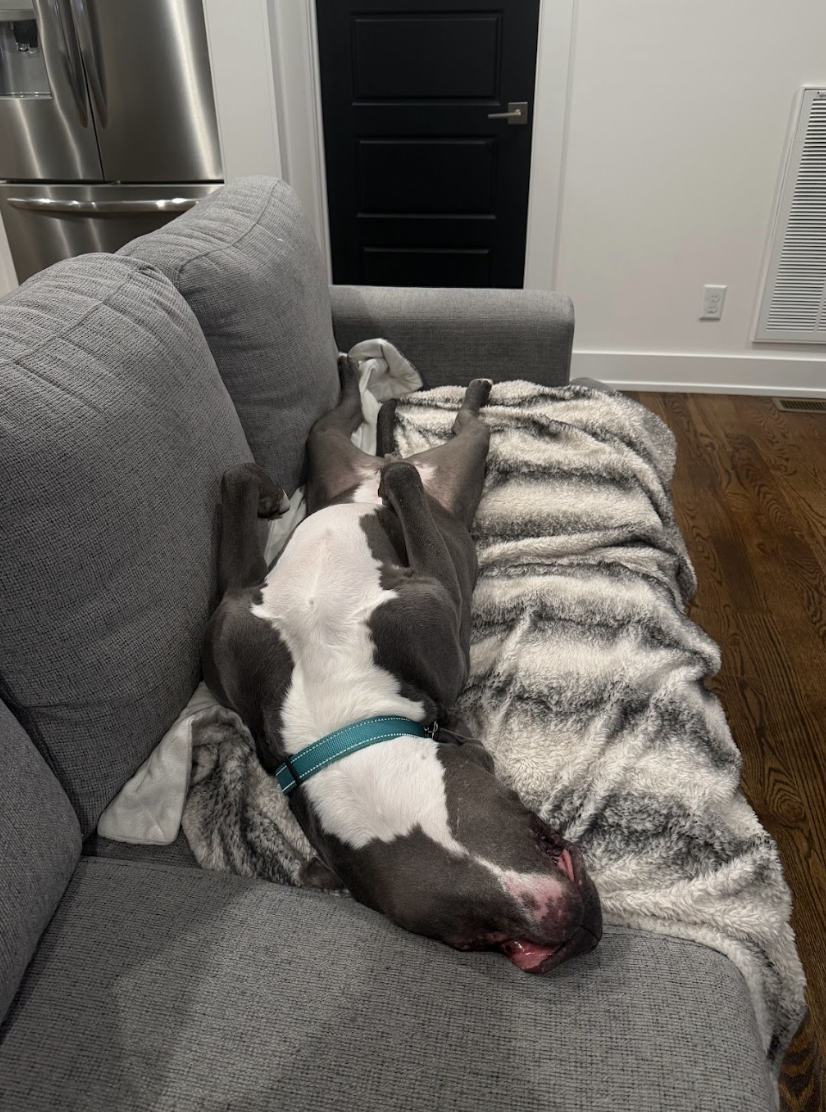 Screenshot 2026-04-22 at 5.01.32 PM.png