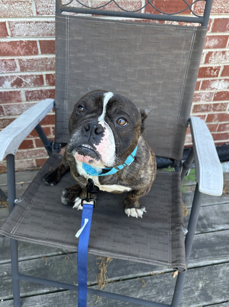 Screenshot 2026-04-22 at 2.48.04 PM.png