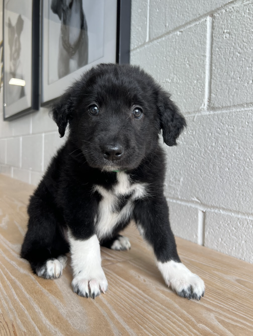 Screenshot 2026-04-16 at 4.20.58 PM.png