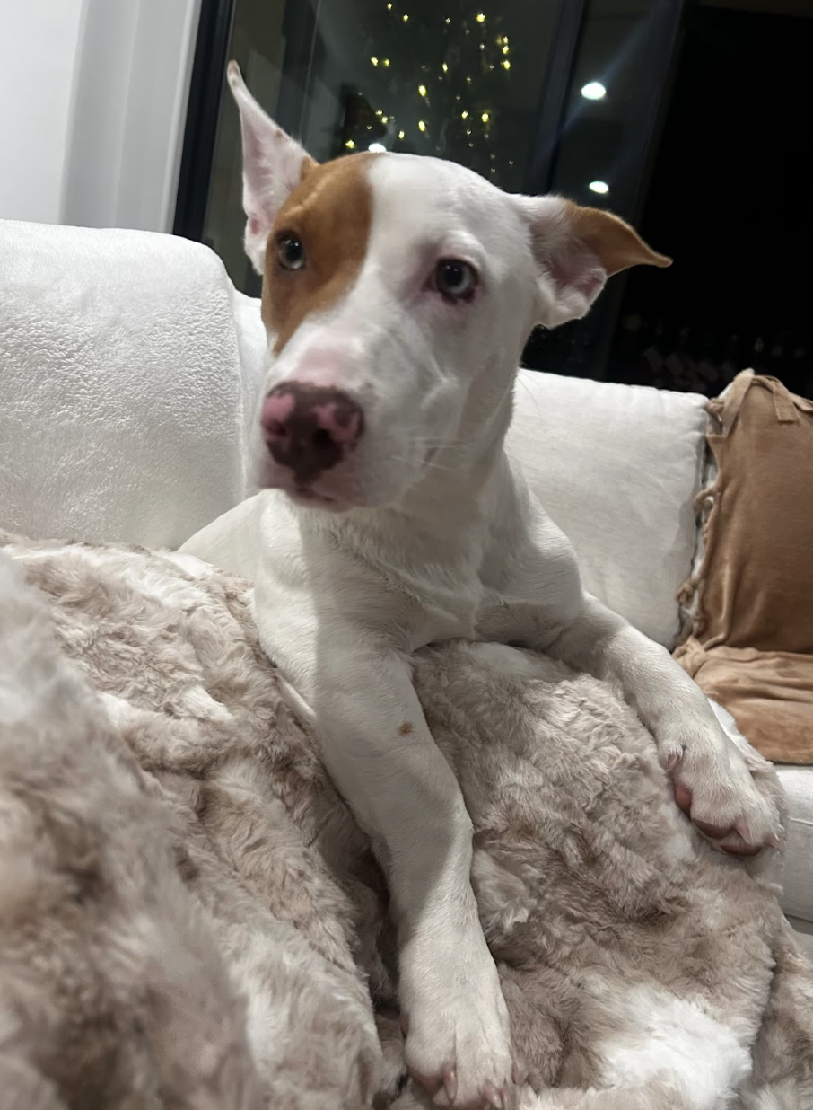 Screenshot 2026-01-14 at 9.14.03 PM.png