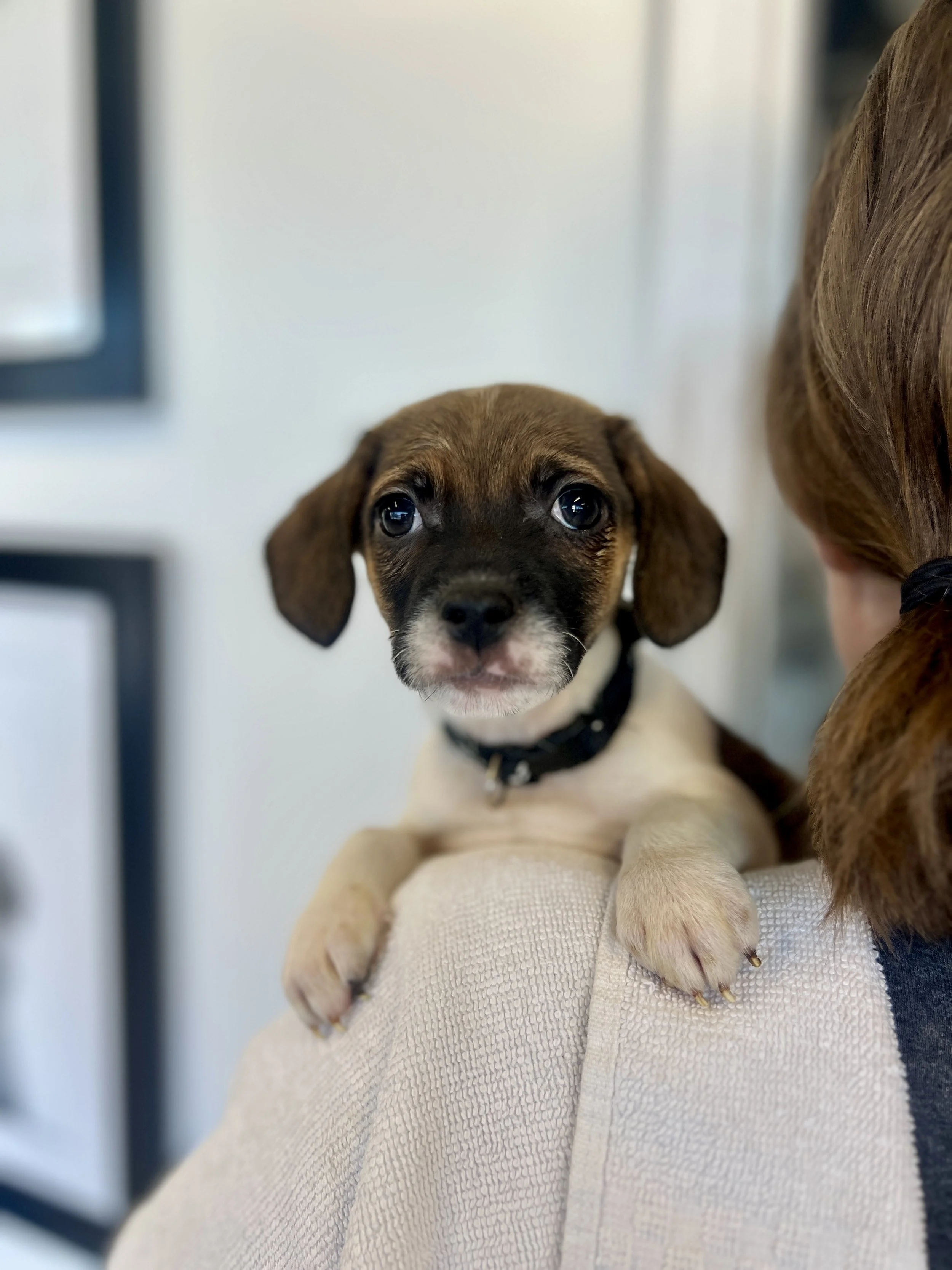 Keno, The Game Litter