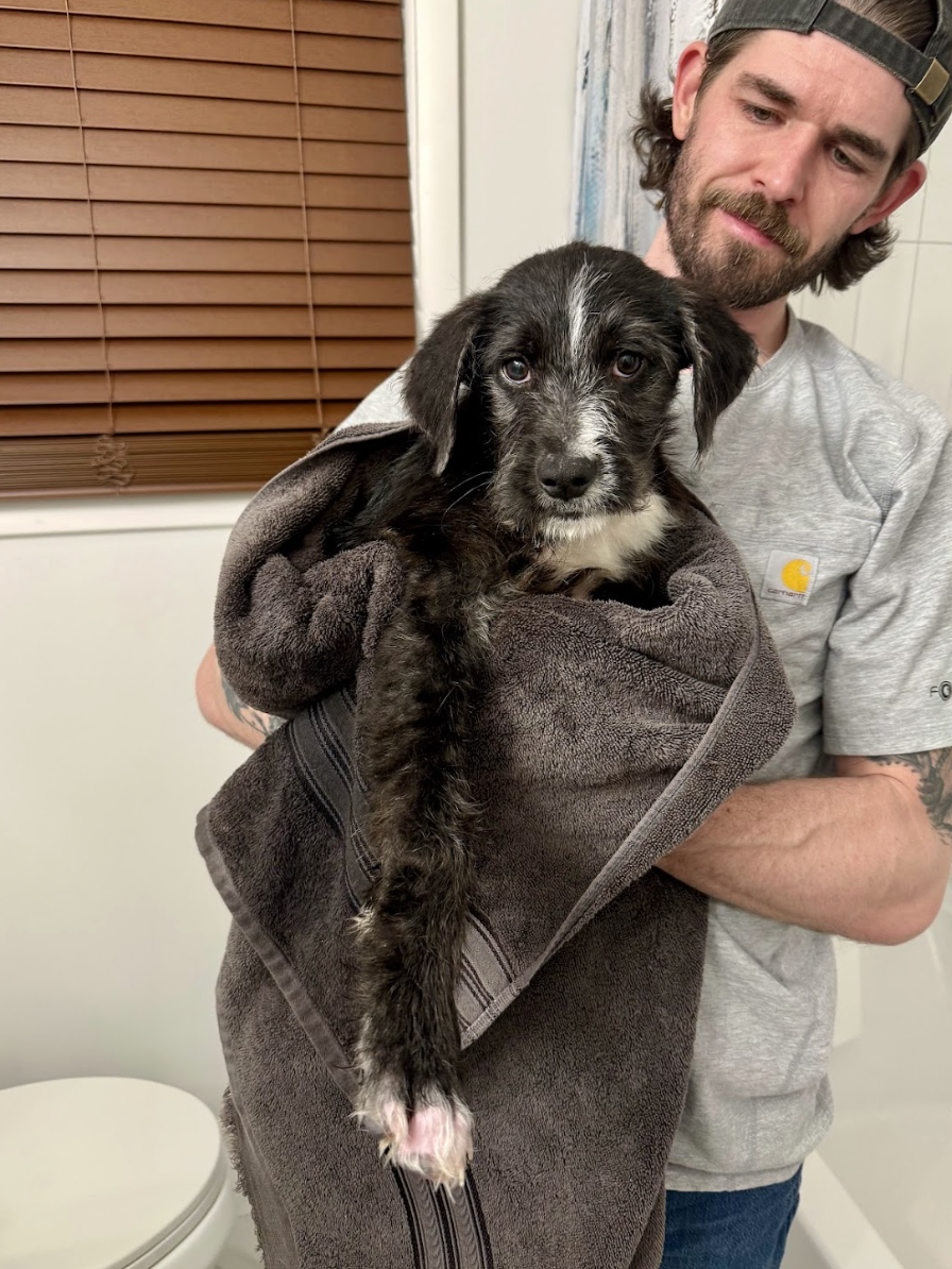 Screenshot 2026-02-27 at 1.06.05 PM.png