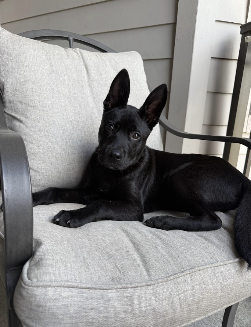 Screenshot 2026-04-23 at 7.38.00 PM.png