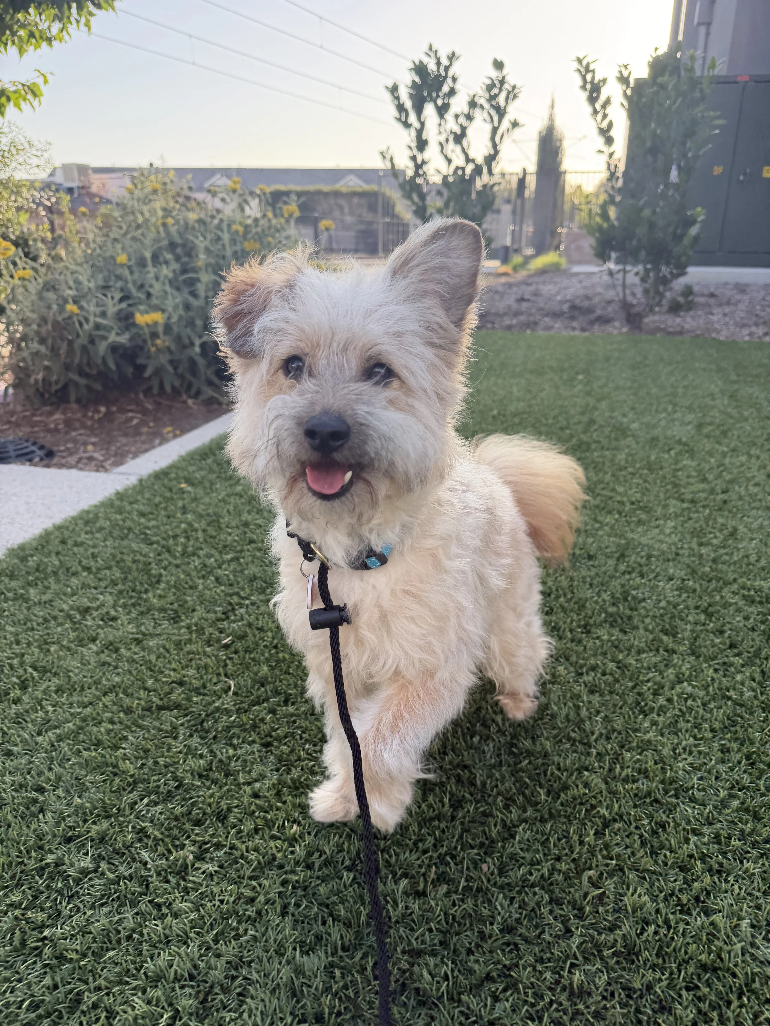 Max