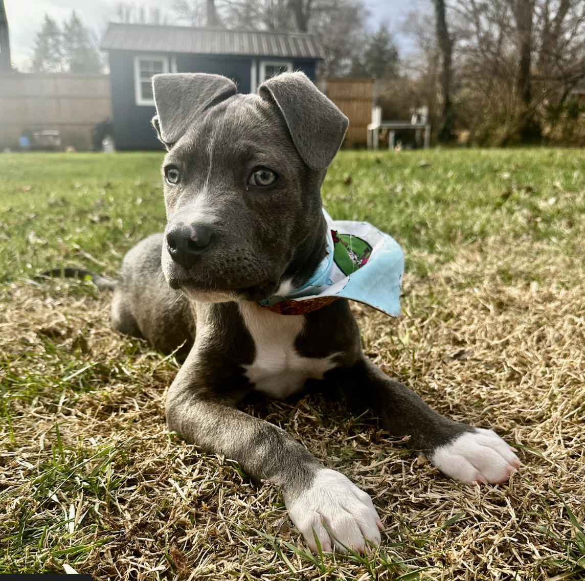 Screenshot 2026-01-08 at 1.24.18 PM.png