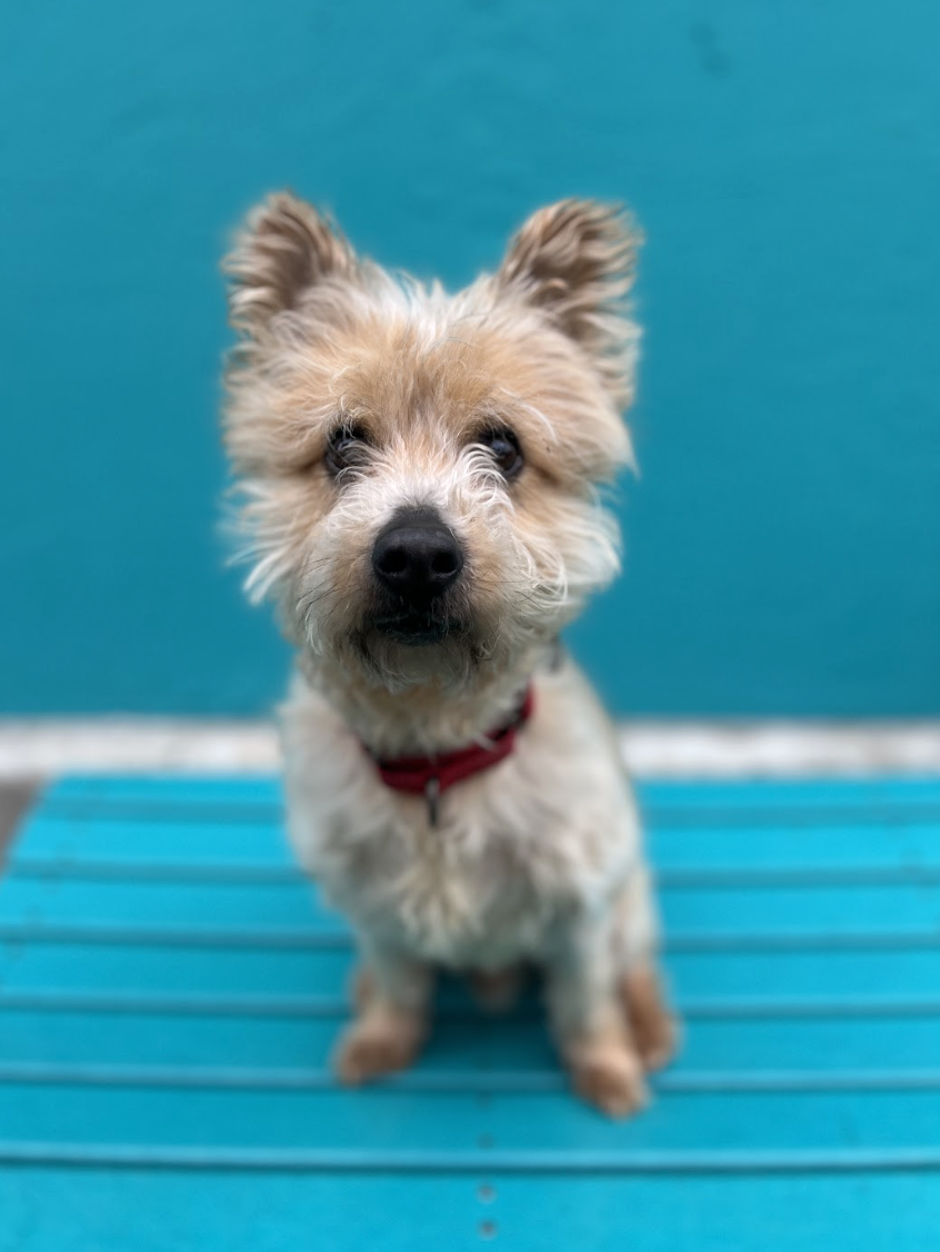 Screenshot 2026-03-11 at 8.24.42 PM.png