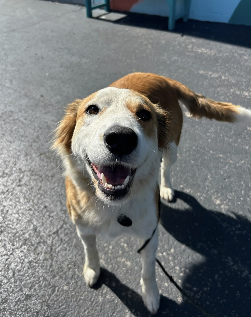 Screenshot 2026-03-14 at 5.01.19 PM.png